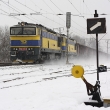 S počátkem roku 2009 převzala vozbu některých tranzitních nákladních vlaků na Ferdinandce společnost OKD-D.