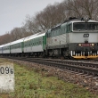 Brejlovec 754 042 byl zachycen 7.3.2009 s vlakem Ex 527 v Hradčovicích.